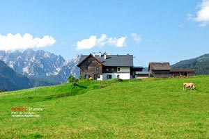 2018年08月02日昌龙复盘：继续空仓 关注西部基建开发机会